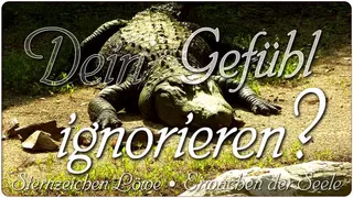 Schlechte Spiegel?