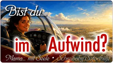 Im Aufwind?
